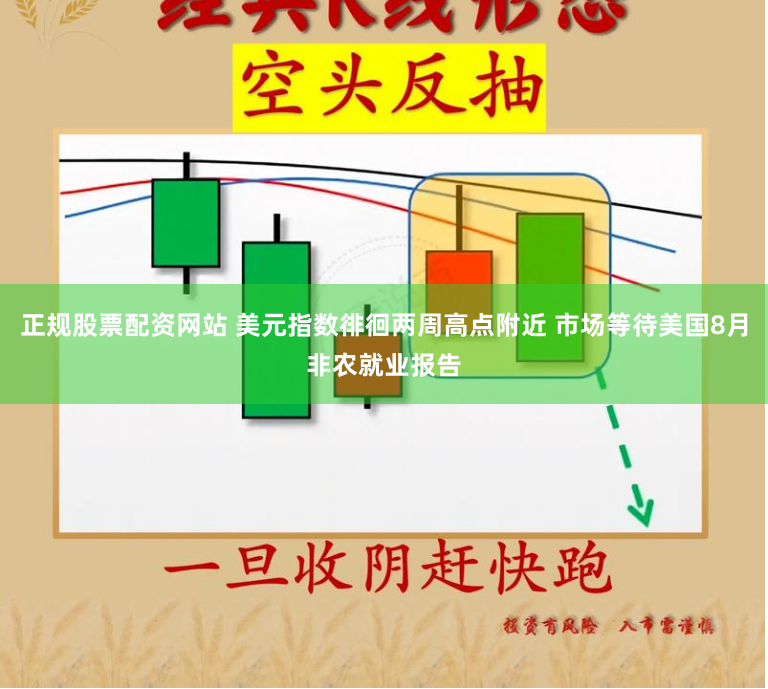 正规股票配资网站 美元指数徘徊两周高点附近 市场等待美国8月非农就业报告