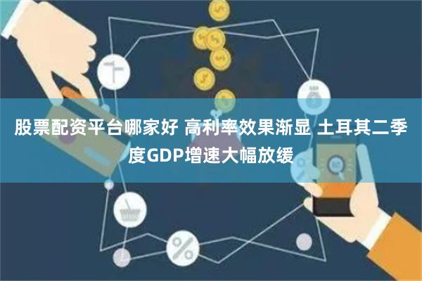 股票配资平台哪家好 高利率效果渐显 土耳其二季度GDP增速大幅放缓